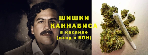 эйфоретик Арсеньев